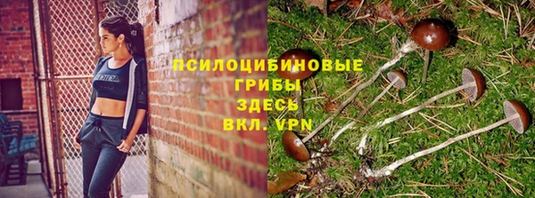 прущие крисы Куйбышев