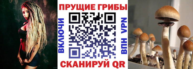 продажа наркотиков  Алагир  Галлюциногенные грибы ЛСД 