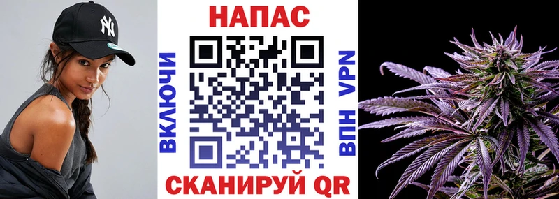 Канабис план  дарнет шоп  Алагир 